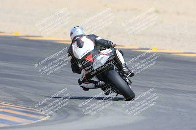media/Mar-10-2024-SoCal Trackdays (Sun) [[6228d7c590]]/9-Turn 8 Backside (1150am)/